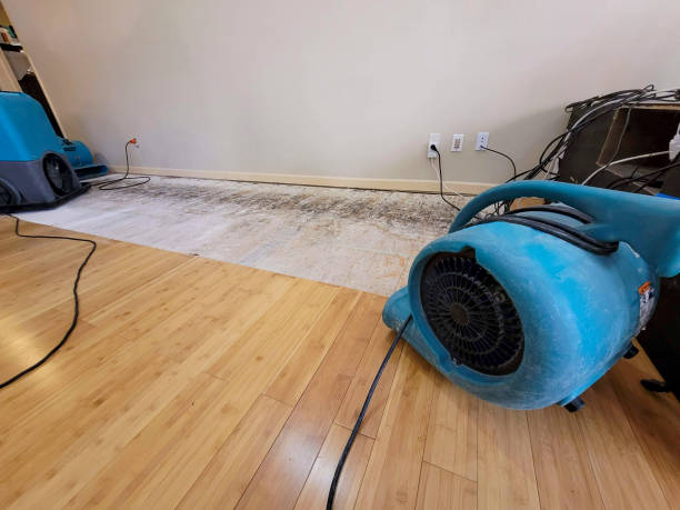 Professional Water Damage Repair technician working in Red Cliff, CO